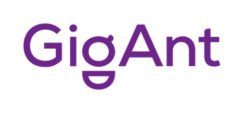 GigAnt: отзывы о работе от программистов