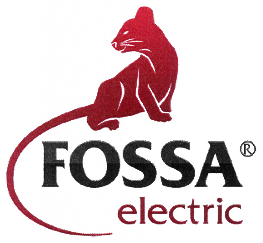 Фосса: отзывы от сотрудников и партнеров