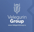 Velegurin Group