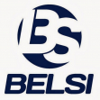 Группа компаний Belsi