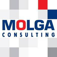 MOLGA Consulting (МОЛГА Консалтинг): отзывы от сотрудников и партнеров