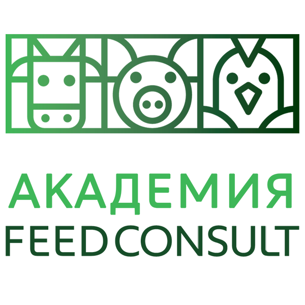 Фидконсалт: отзывы от сотрудников и партнеров в Омске