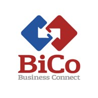 Информационное агентство BiCo: отзывы о работе от бренд-менеджеров