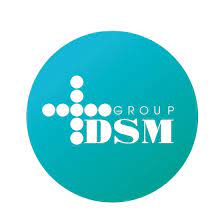DSM Group: отзывы от сотрудников и партнеров