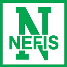 Нэфис Косметикс: отзывы от сотрудников и партнеров в Пензе