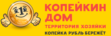 Копейкин Дом: отзывы от сотрудников и партнеров в Ставрополе