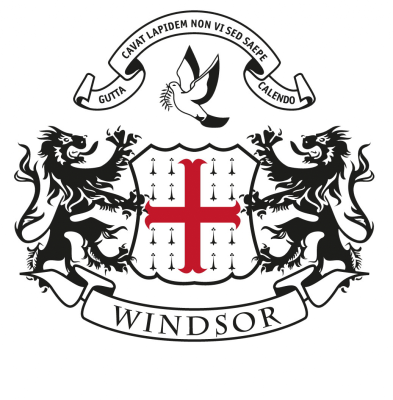 Страница 2. Школа Windsor: отзывы от сотрудников и партнеров