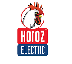 Страница 2. Horoz Electric: отзывы от сотрудников и партнеров