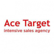 Ace Target, Рекламное агентство