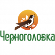 ГК Черноголовка