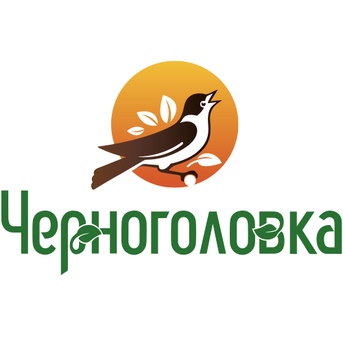 ГК Черноголовка