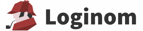 Loginom Company