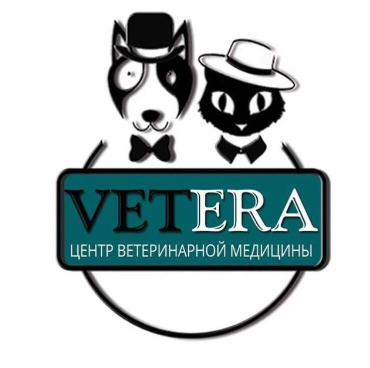 Ветеринарная клиника Vetera: отзывы от сотрудников и партнеров