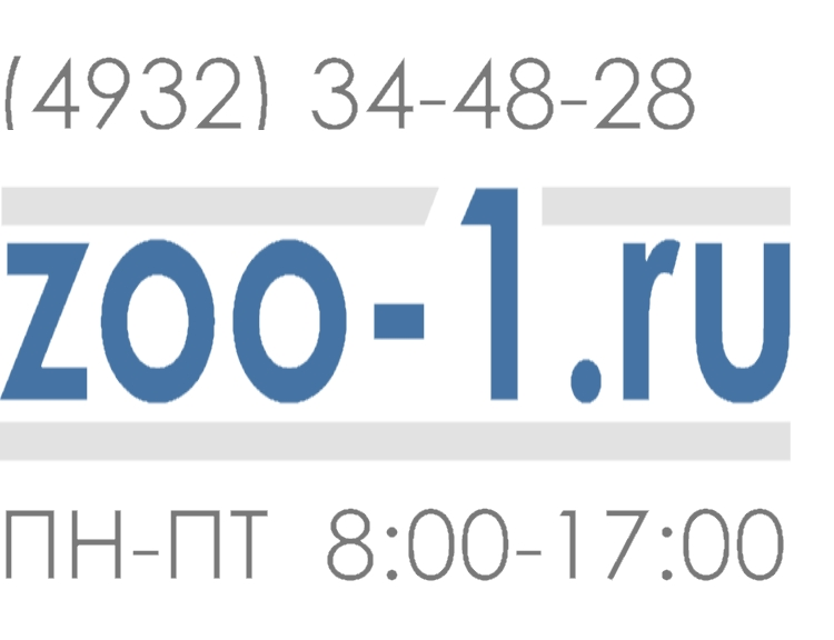 ZOO-1.ru: отзывы сотрудников о работодателе