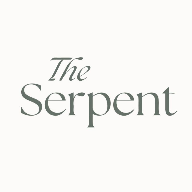 The Serpent: отзывы сотрудников о работодателе