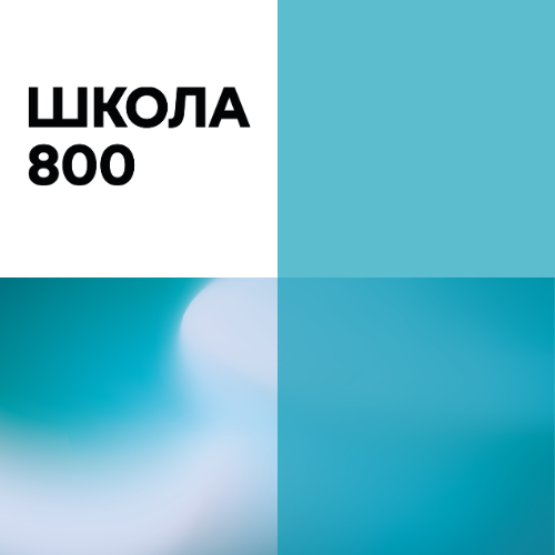 АНОО Школа 800: отзывы от сотрудников и партнеров