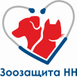 Зоозащита НН