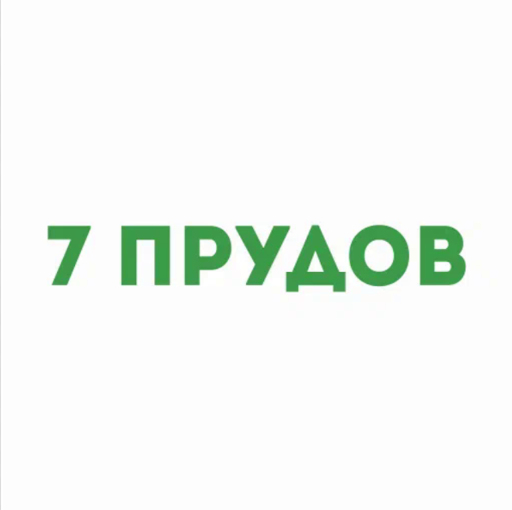 7 ПРУДОВ ДЕВЕЛОПМЕНТ: отзывы сотрудников о работодателе