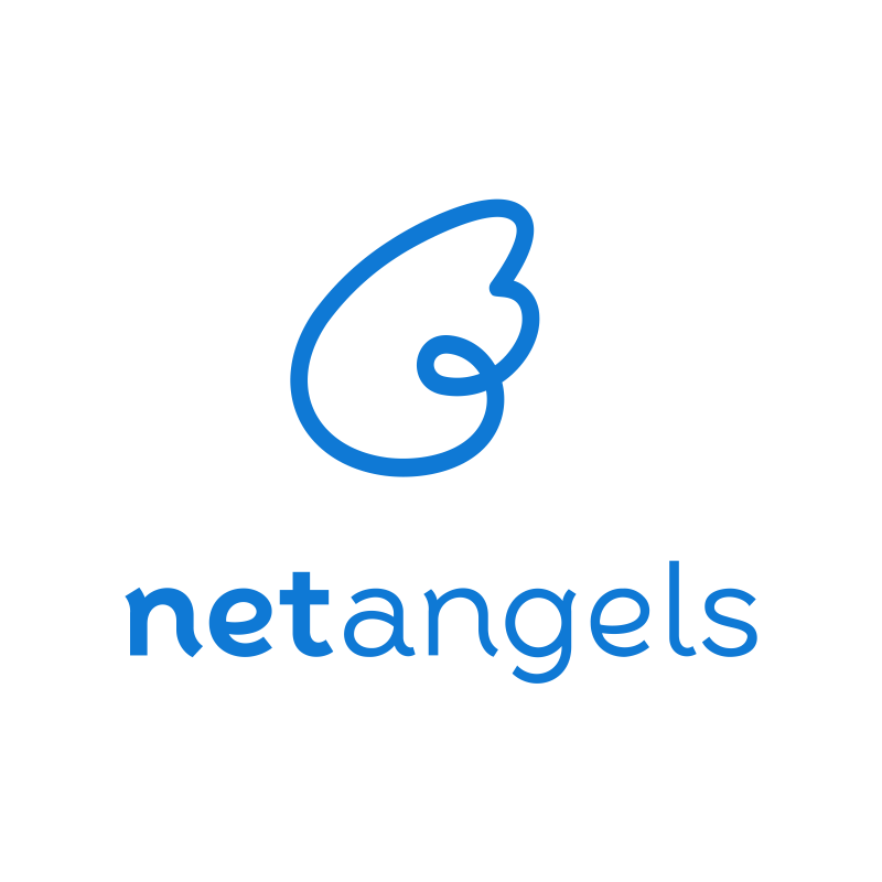 Интернет-Про (NetAngels.ru)