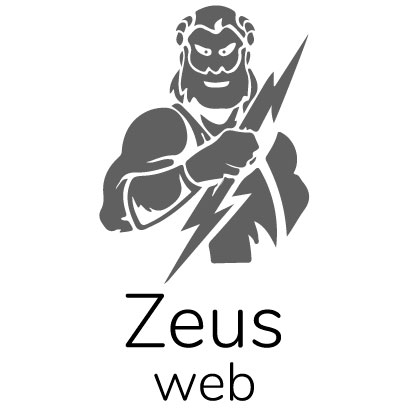 Веб студия Zeusweb: отзывы от сотрудников и партнеров