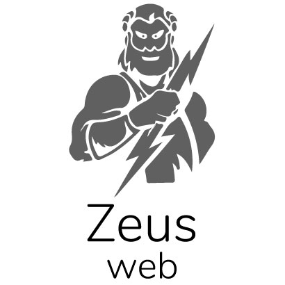 Веб студия Zeusweb