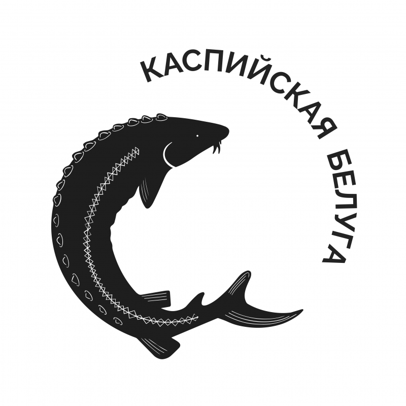 Каспийская Белуга