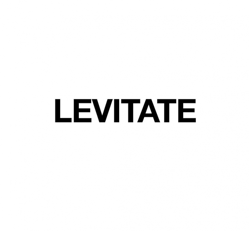 Levitate: отзывы от сотрудников и партнеров