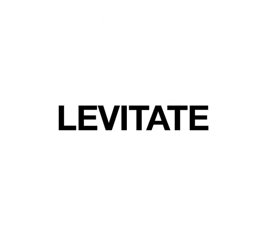 Levitate: отзывы сотрудников