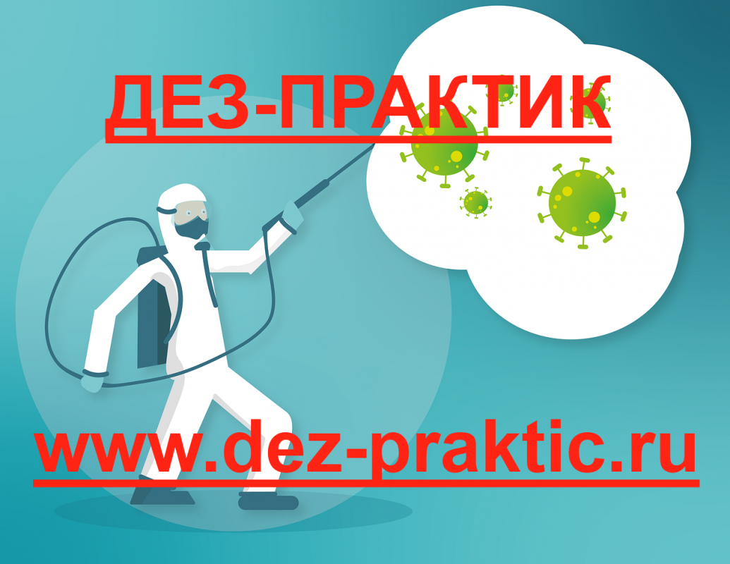 Дез-практик: отзывы сотрудников о работодателе