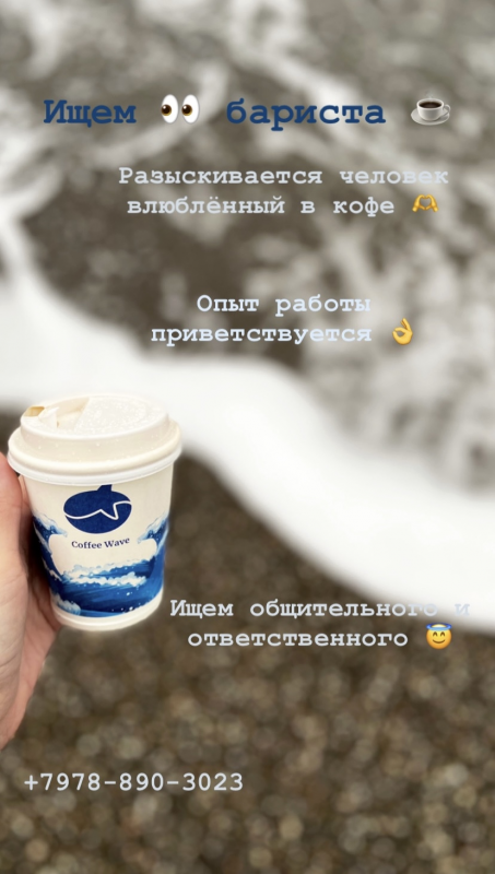 Coffee Wave: отзывы сотрудников о работодателе