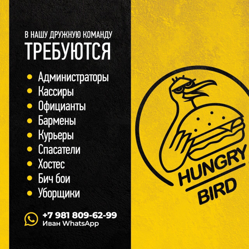 Hungry Bird: отзывы сотрудников о работодателе