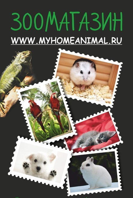 MYHOMEANIMAL: отзывы сотрудников о работодателе