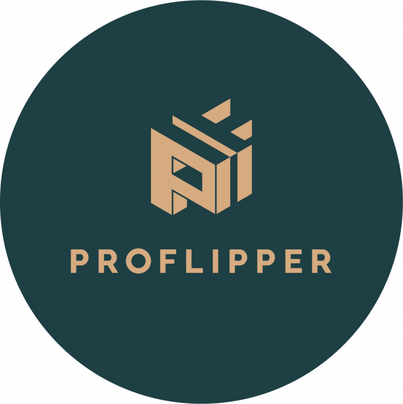 PROFLIPPER (ИП Даутов Тимур Рашитович): отзывы сотрудников о работодателе