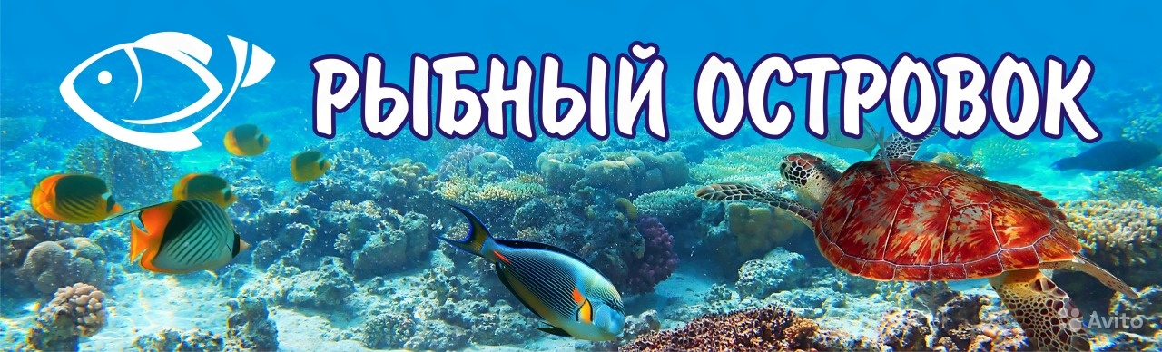 Балашова Валерия Александровна: отзывы сотрудников о работодателе