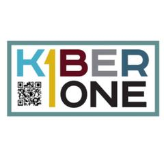 Kiber-one (ИП Вершинин Ростислав Родионович): отзывы от сотрудников и партнеров