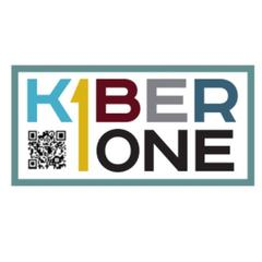 Kiber-one (ИП Вершинин Ростислав Родионович)