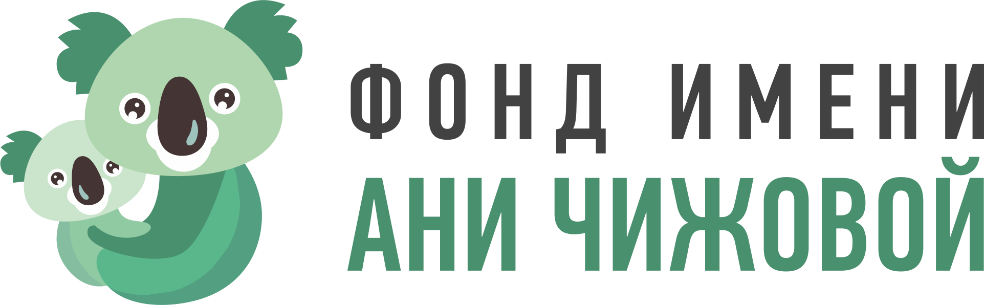 Благотворительный фонд помощи детям с неизлечимыми заболеваниями имени Ани Чижовой