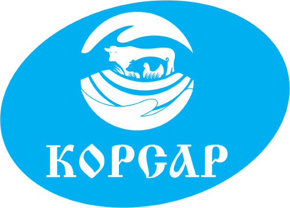 Корсар