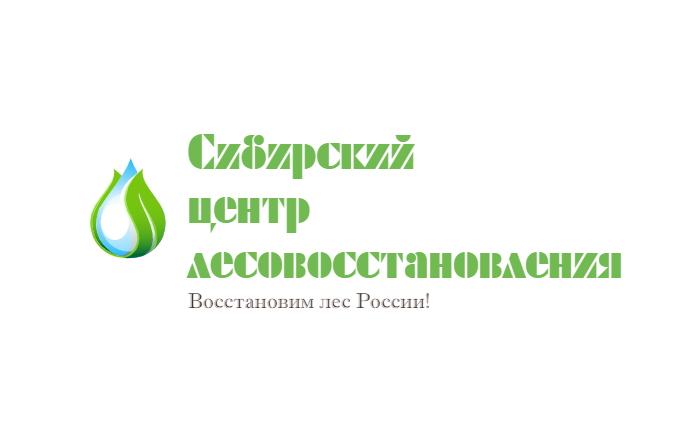 Сибирский Центр Лесовосстановления: отзывы от сотрудников и партнеров