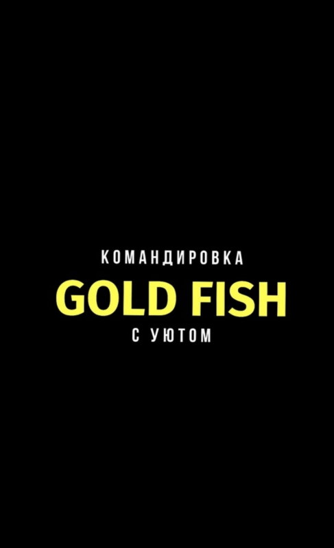 Gold fish: отзывы сотрудников