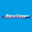 Лига Спорт, сеть розничных магазинов