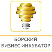 МАУ Борский бизнес-инкубатор: отзывы от сотрудников и партнеров