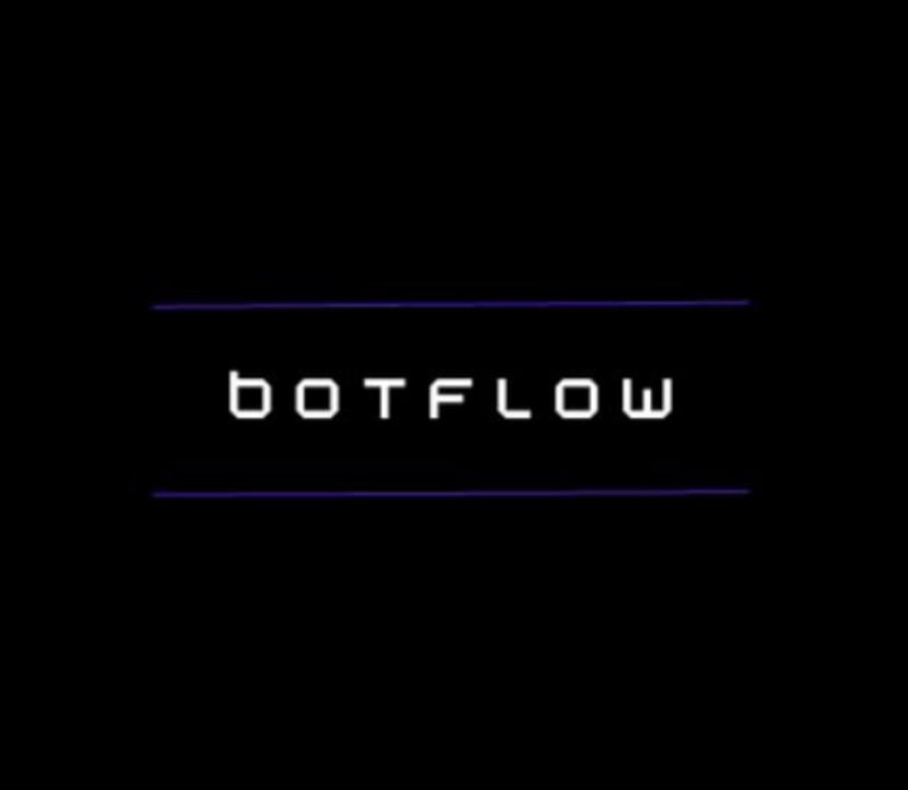 botflow (Бормачев Егор Валерьевич): отзывы сотрудников о работодателе