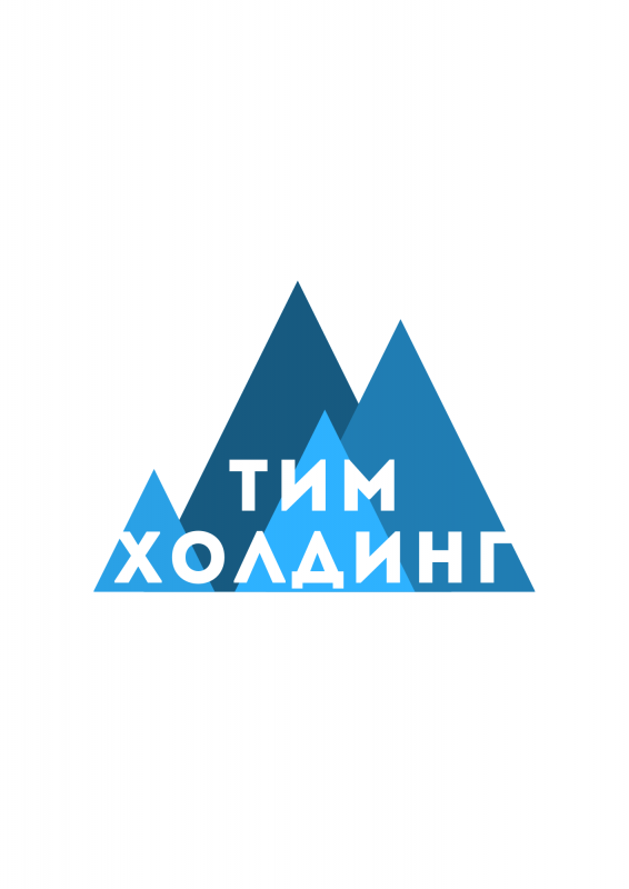 Tim Holding: отзывы сотрудников о работодателе