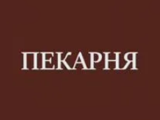 Сапелкин Дмитрий Вячеславович: отзывы сотрудников о работодателе