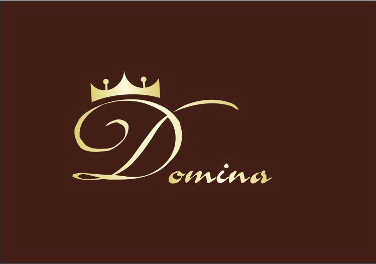DOMINA: отзывы от сотрудников и партнеров