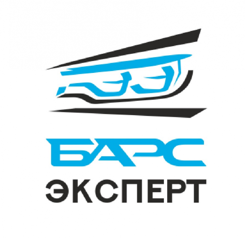 Барс-Эксперт