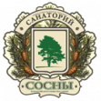 Санаторий Сосны ВОС