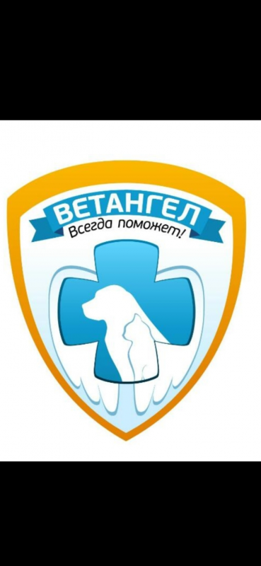 Ветангел, ветеринарная клиника