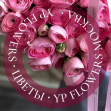 YP FLOWERS